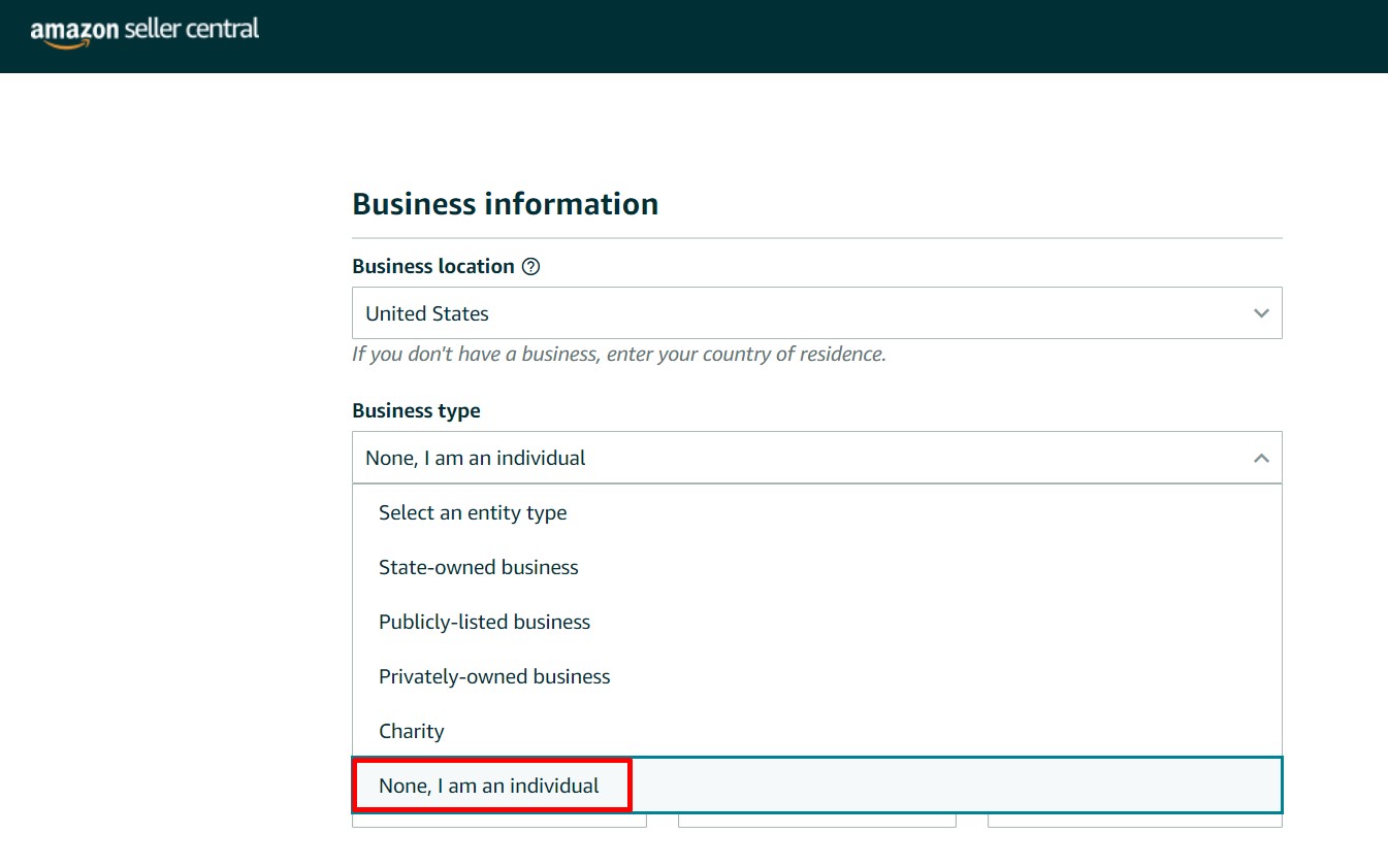 selecting amazon individual seller