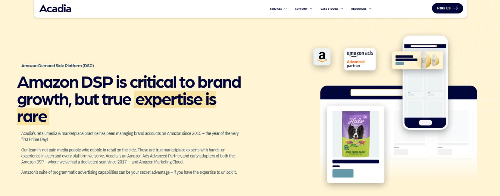 amazon dsp agency services